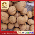 Hot Sales Walnut in Shell From China